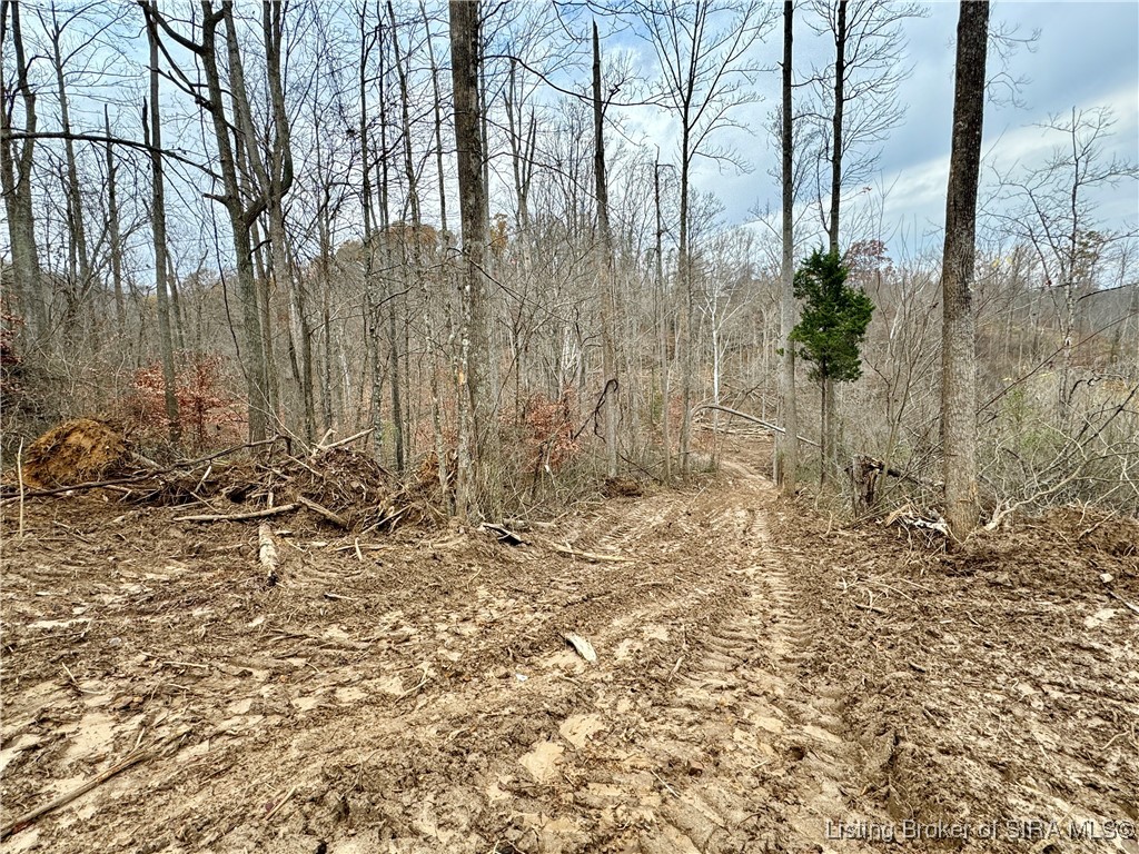 4 Co Rd 375 S French Lick, IN 47432 - Photo 5 of 19