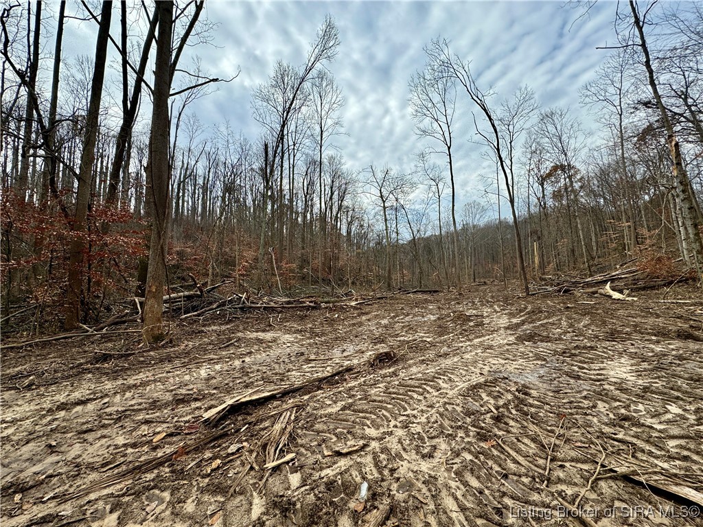 4 Co Rd 375 S French Lick, IN 47432 - Photo 7 of 19