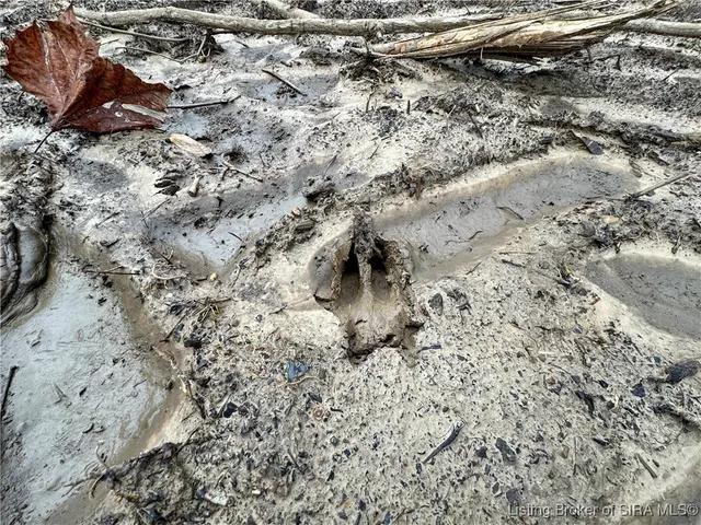 $239,900 | 4 Co Rd 375 S, French Lick, IN 47432