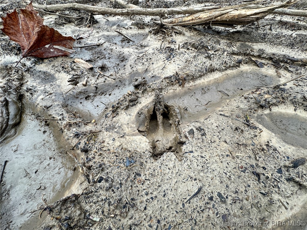 4 Co Rd 375 S French Lick, IN 47432 - Photo 8 of 19