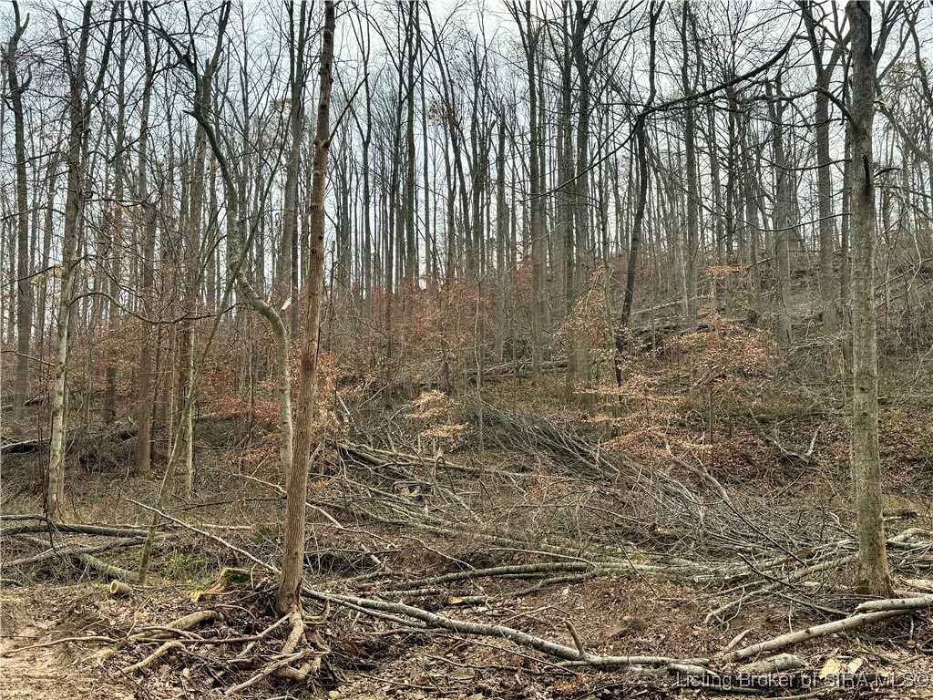 4 Co Rd 375 S French Lick, IN 47432 - Photo 9 of 19