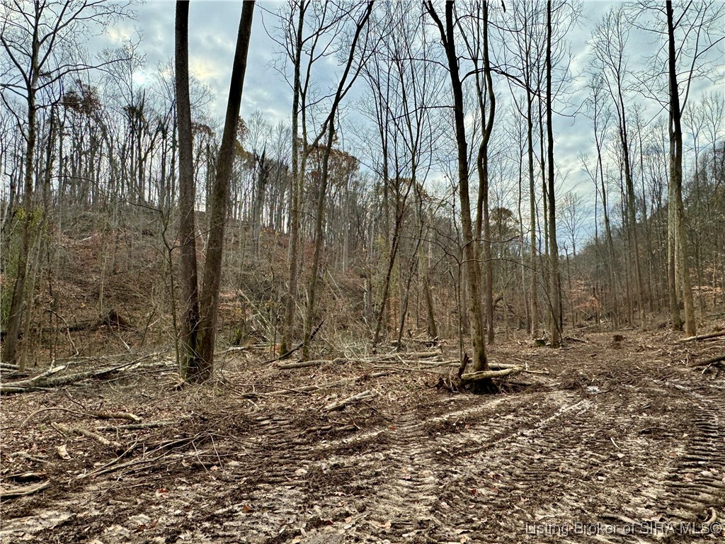 4 Co Rd 375 S French Lick, IN 47432 - Photo 10 of 19