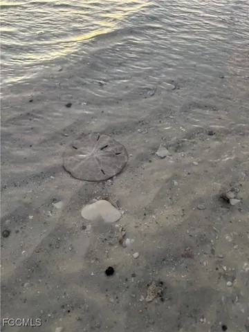 a view of an ocean beach