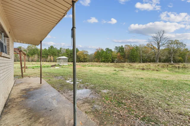a view of a field with a tree in the background