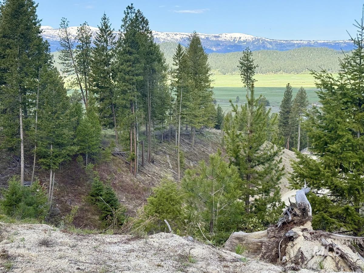 38 San Ignacio Way Cascade, ID 83611 - Photo 18 of 21