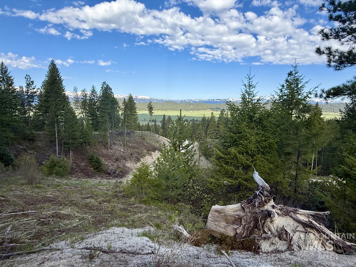 38 San Ignacio Way Cascade, ID 83611 - Photo 6 of 21