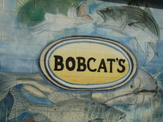 1017 Kingswood Road Buffalo Junction, VA 24529 - Photo 21 of 26 Check out what's biting at Bobcat's & get the right lures to catch the big one!