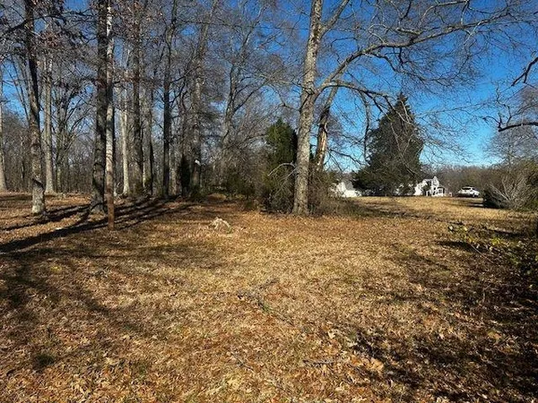 a view of a yard with trees