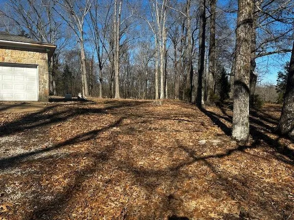 a view of a backyard with large trees