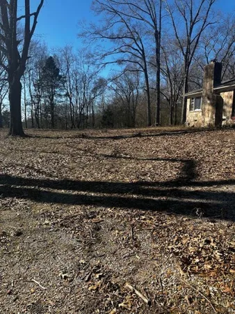 a view of a yard