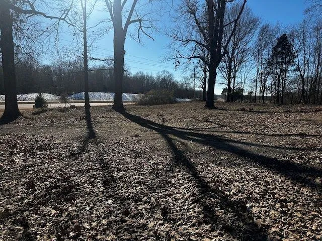 a backyard of a house with lots of green space
