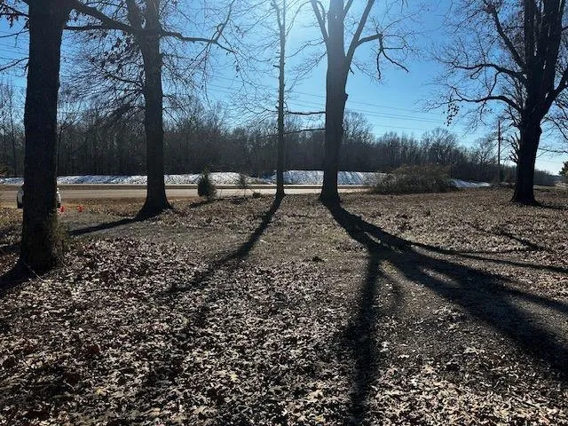 a view of a backyard with large trees