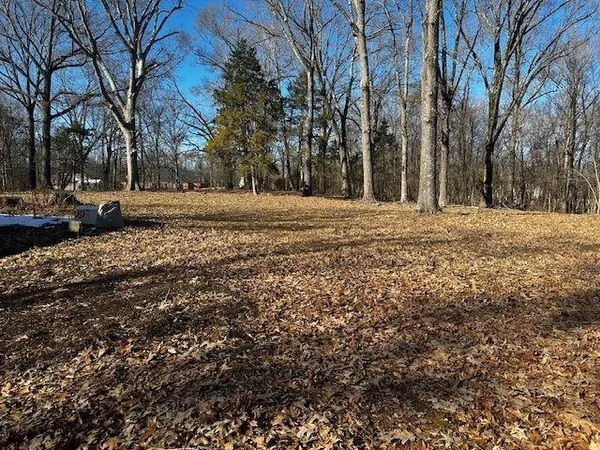 a view of outdoor space with trees