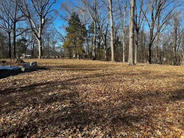 a view of outdoor space with trees