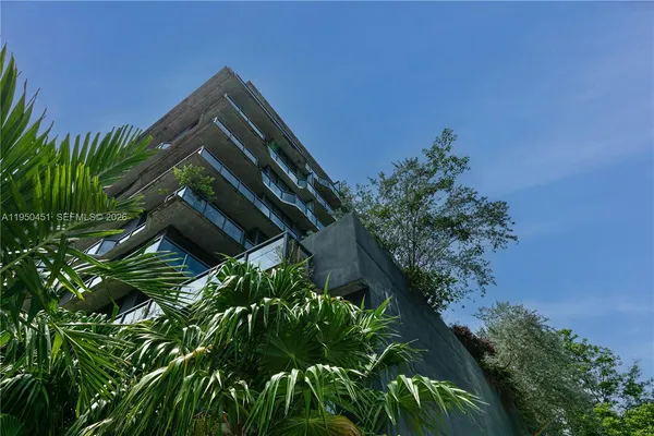 a close up of a plant in a garden