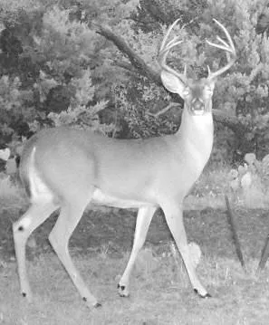 a view of water heater