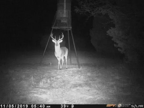 a picture of a outdoor space