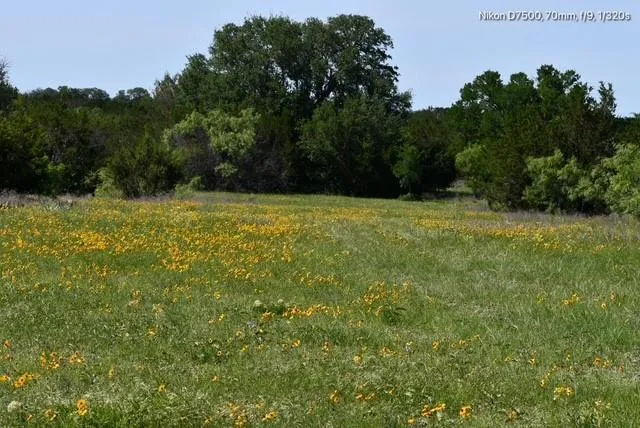 a view of a lake in middle of forest