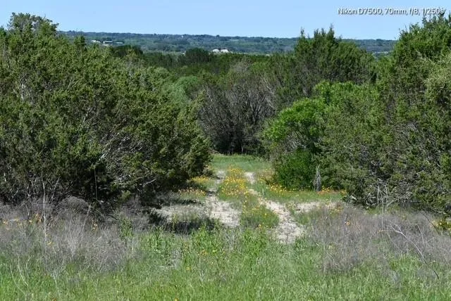 a view of outdoor space