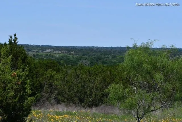 a view of backyard with green space