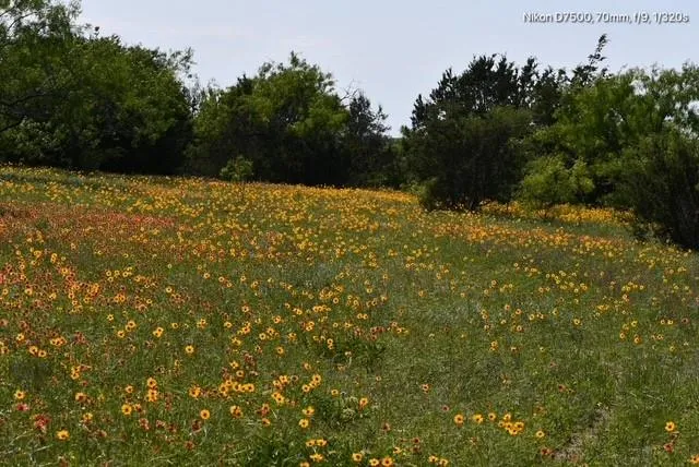 a view of swimming pool