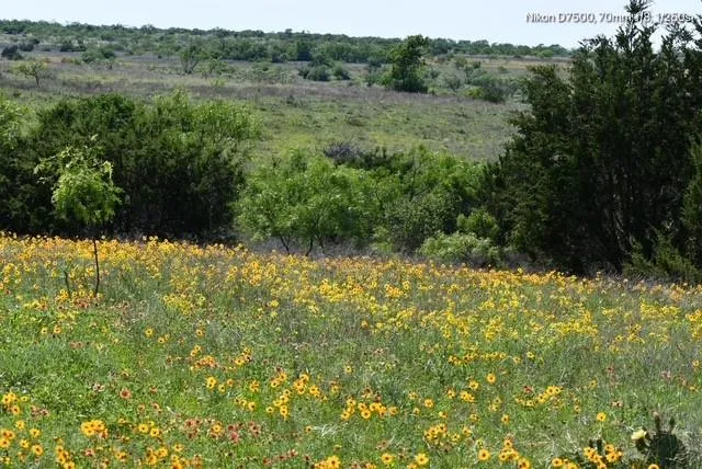a view of a field with trees in the background