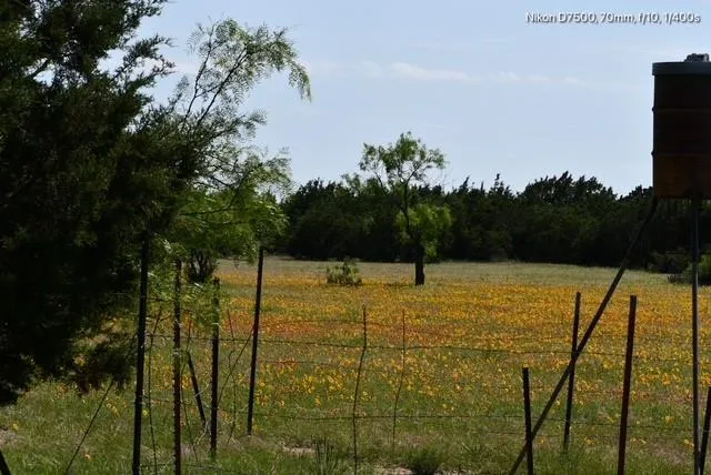 a view of a lush green outdoor space with a lake view