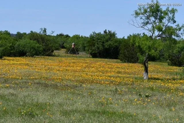 a view of building and yard