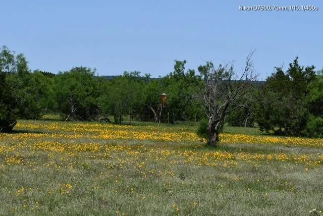 a view of a lush green space with sea