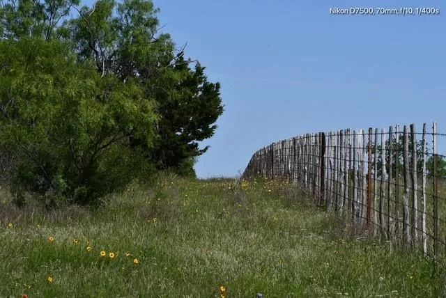 a view of an outdoor space and a yard
