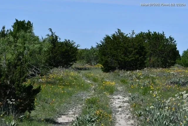 $3,260,000 | 382 Carlton Tx 76436, Carlton, TX 76436