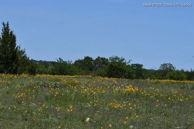 $3,260,000 | 382 Carlton Tx 76436, Carlton, TX 76436