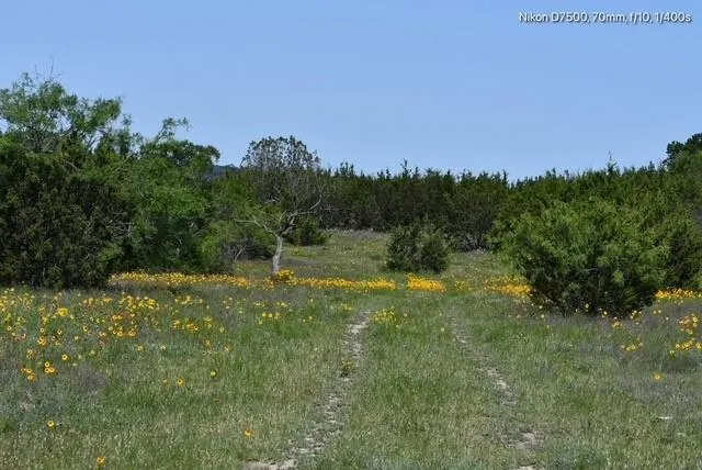 $3,260,000 | 382 Carlton Tx 76436, Carlton, TX 76436