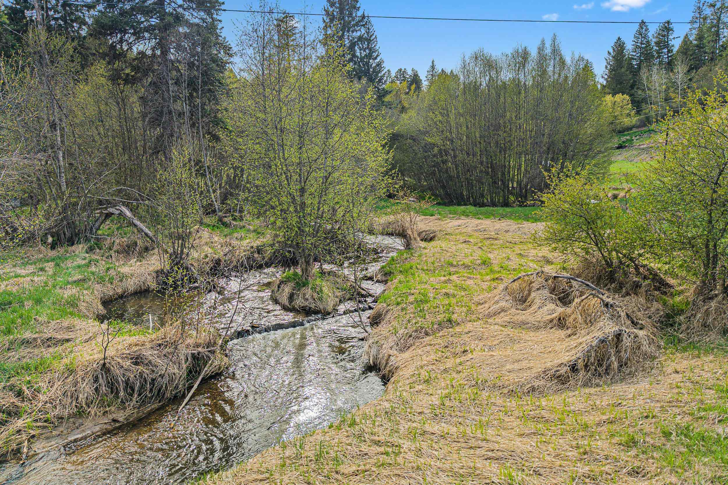 839 Trout Creek Road Republic, WA 99166 - Photo 13 of 32