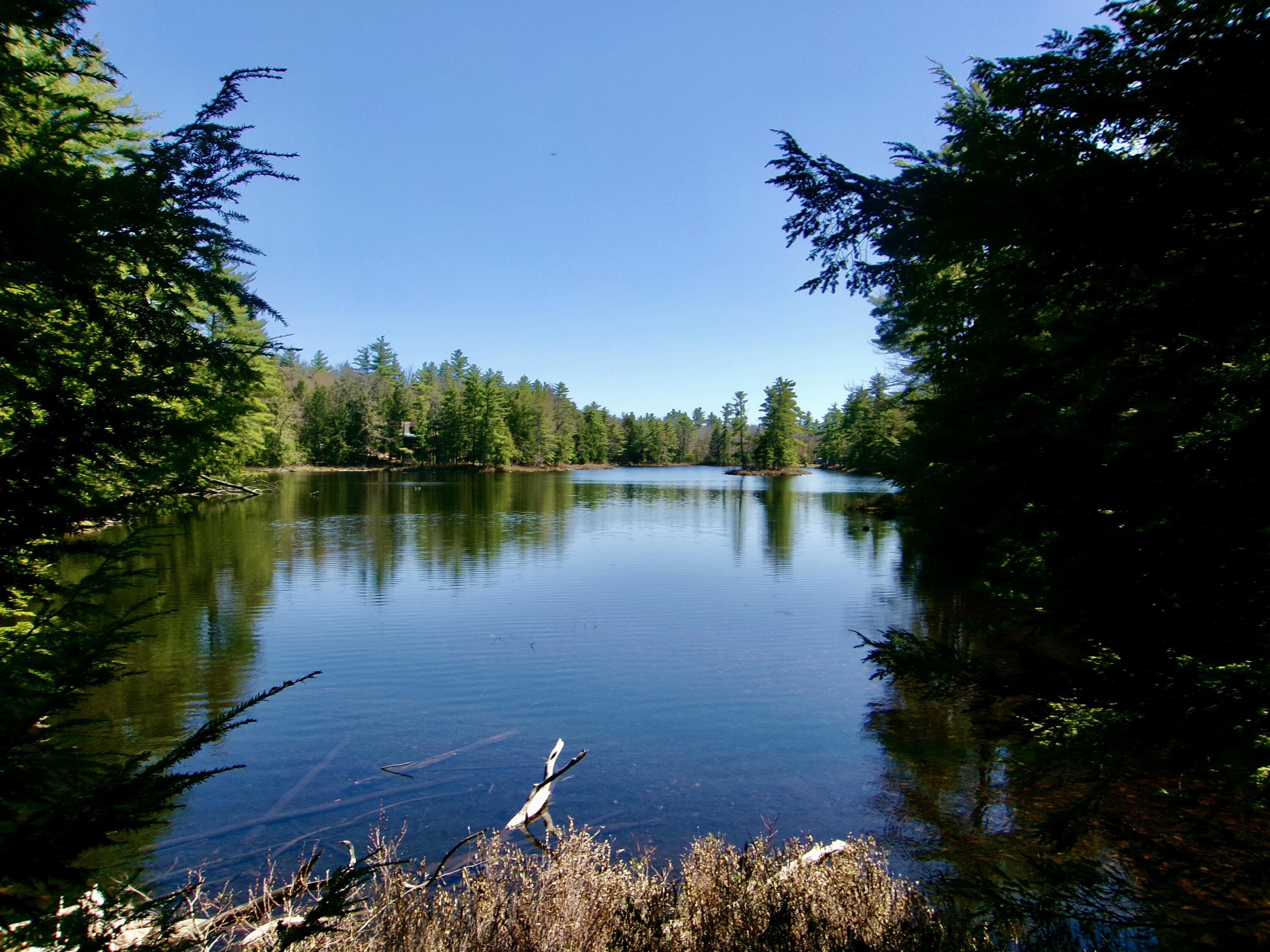 65-ac Town Farm Road West Baldwin, ME 04091 - Photo 1 of 16 4