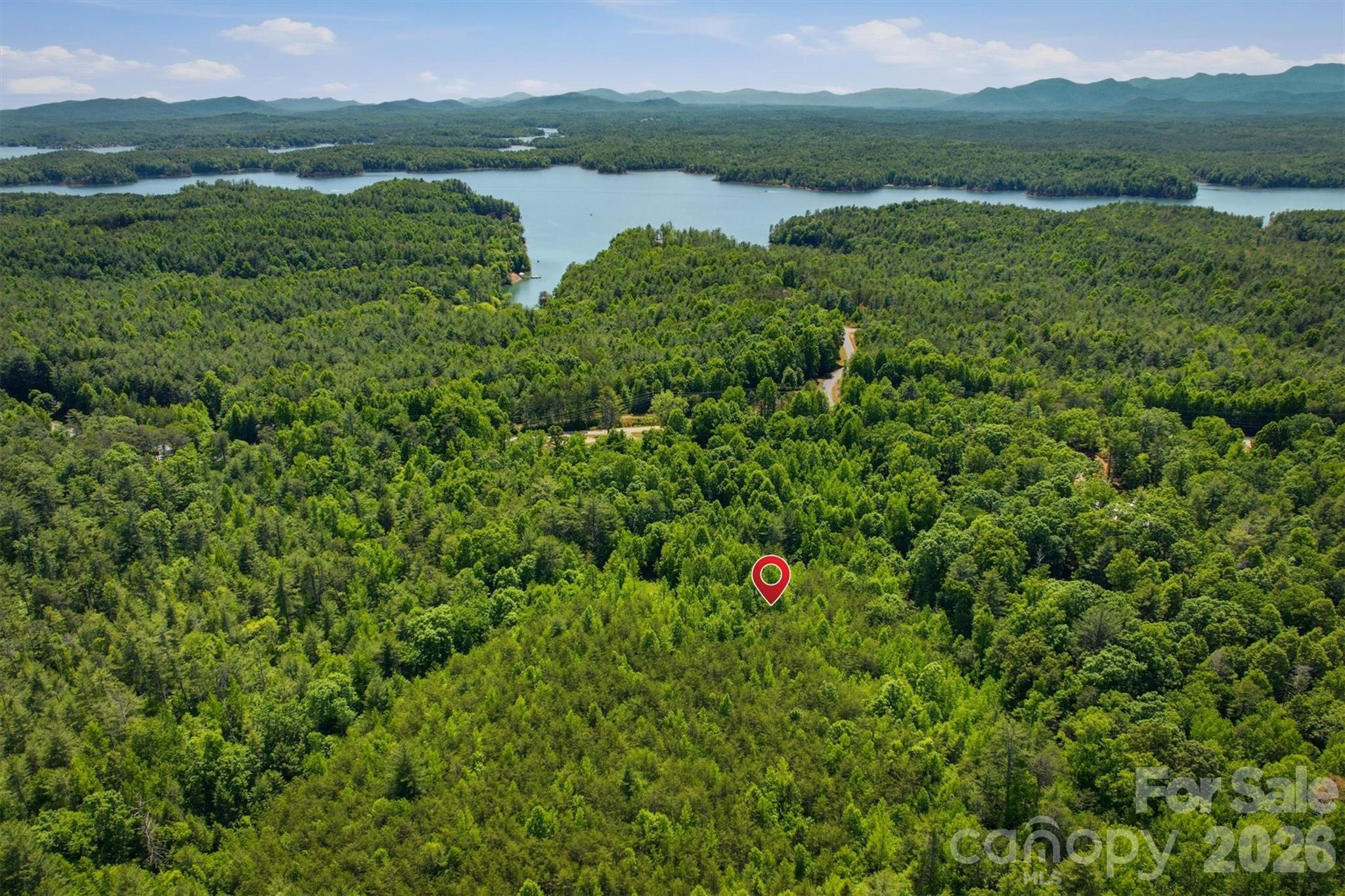 0 Nc 126 Road Morganton, NC 28655 - Photo 4 of 5 a view of a lush green forest with a lake and trees