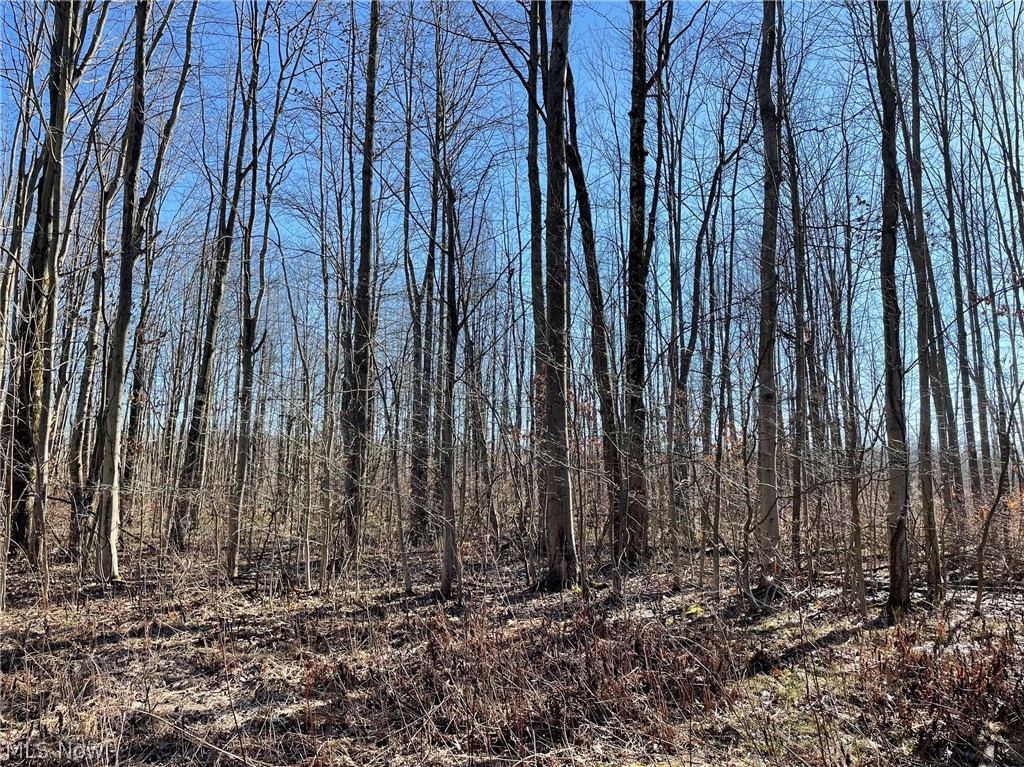 Richardson Road Conneaut, OH 44030 - Photo 1 of 7