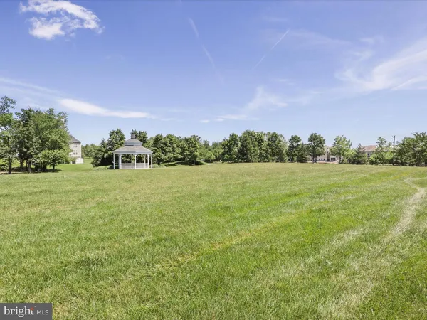 a view of a grassy field with trees in the background