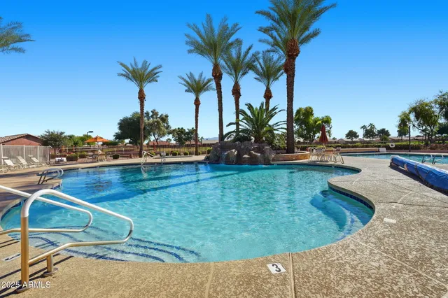a view of a swimming pool with a yard and plants