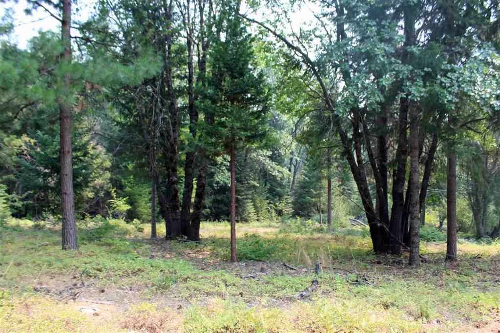 3 Deetz Road Rd Mount Mount Shasta, CA 96067 - Photo 35 of 37 Gallery Image 35