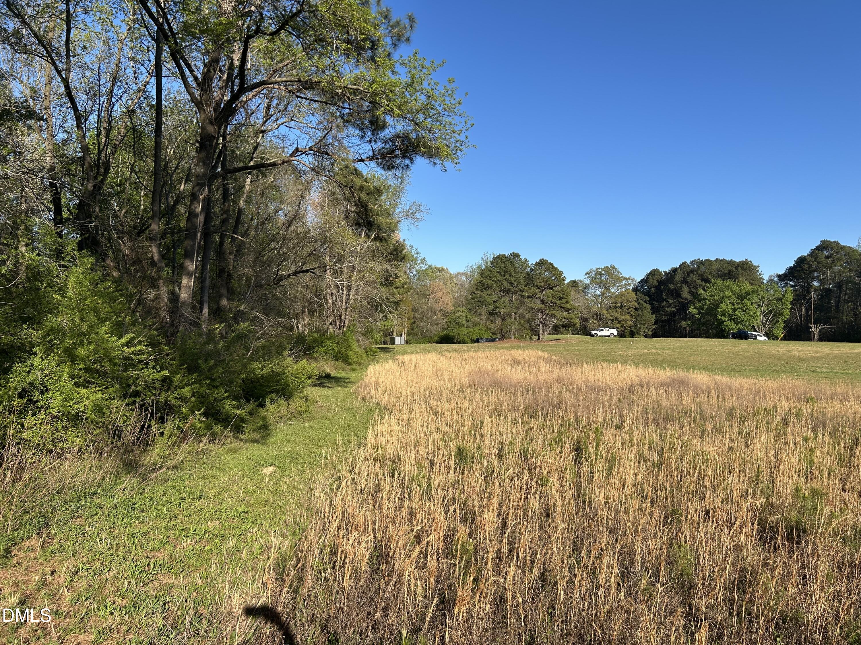 1006 Stephenson Road Benson, NC 27504 - Photo 5 of 9 a view of outdoor space and yard