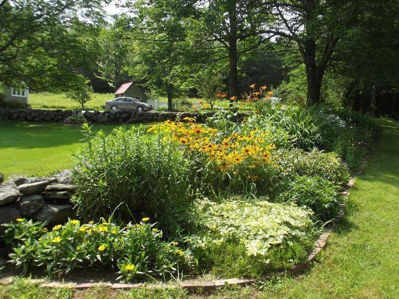 178 Arthur Allen Road Sumner, ME 04292 - Photo 11 of 35 Yard/Garden.