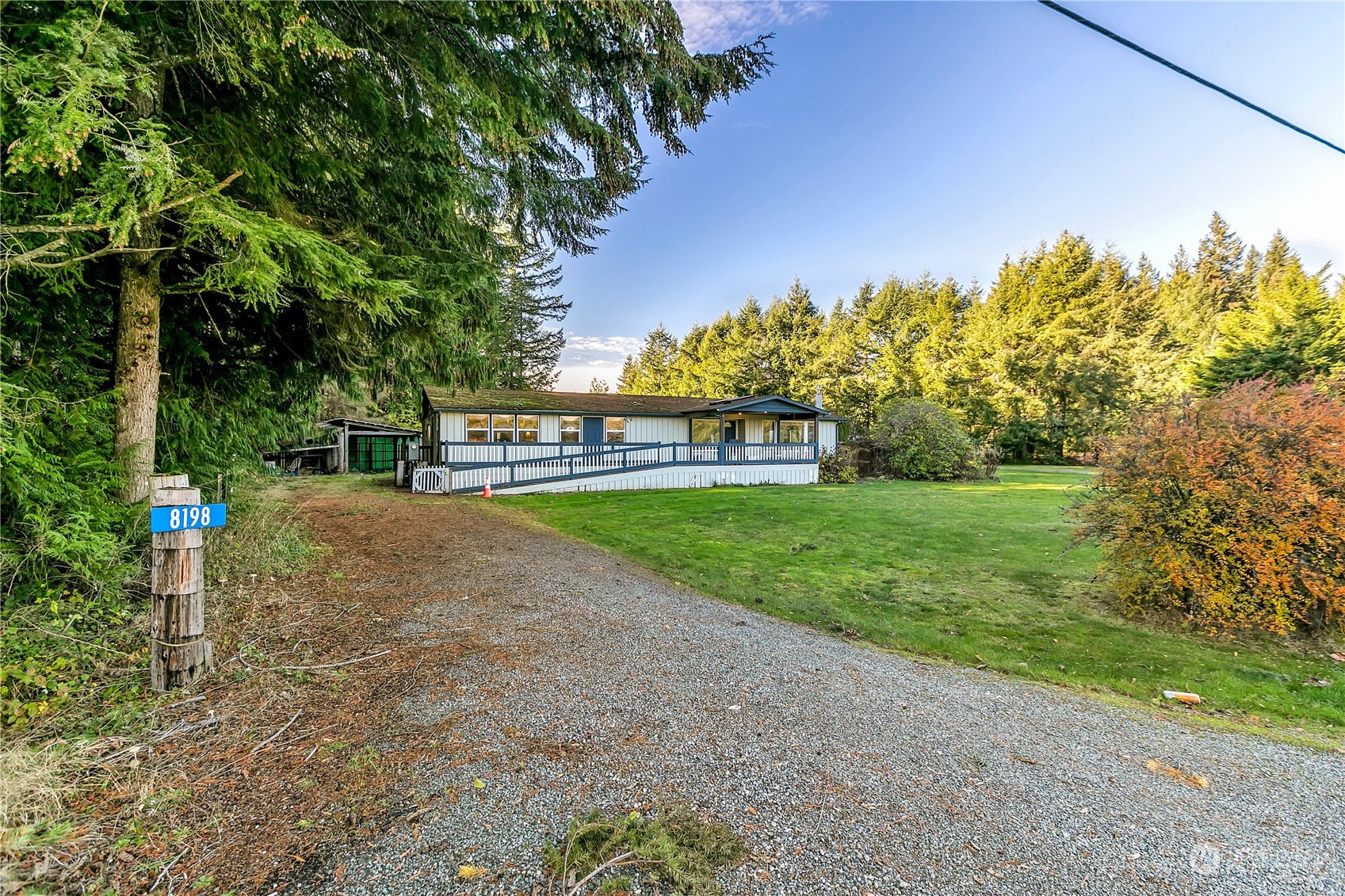 a view of a park with large trees