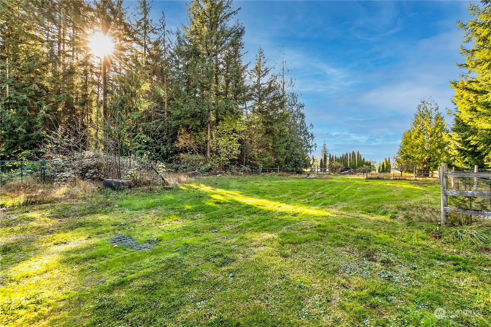 8198 Lusk Road Concrete, WA 98237 - Photo 28 of 36 a view of yard with green space