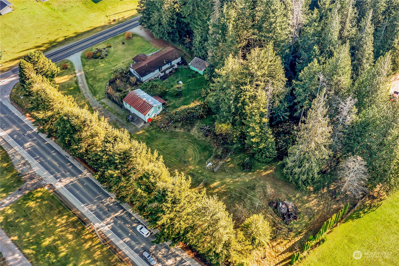 8198 Lusk Road Concrete, WA 98237 - Photo 35 of 36 a view of a yard with plants