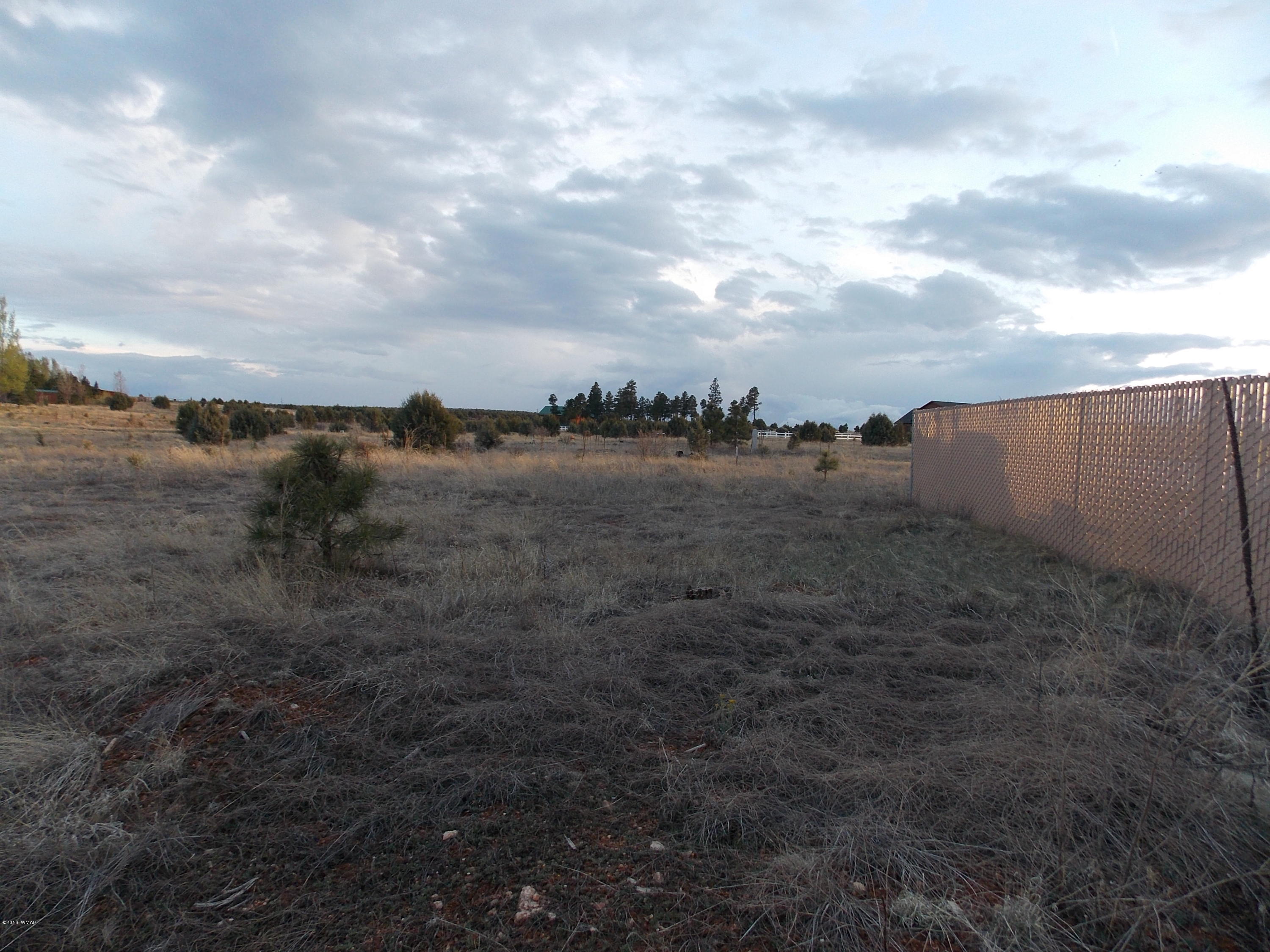 Tbd Tbd Christine Way Overgaard, AZ 85933 - Photo 1 of 7
