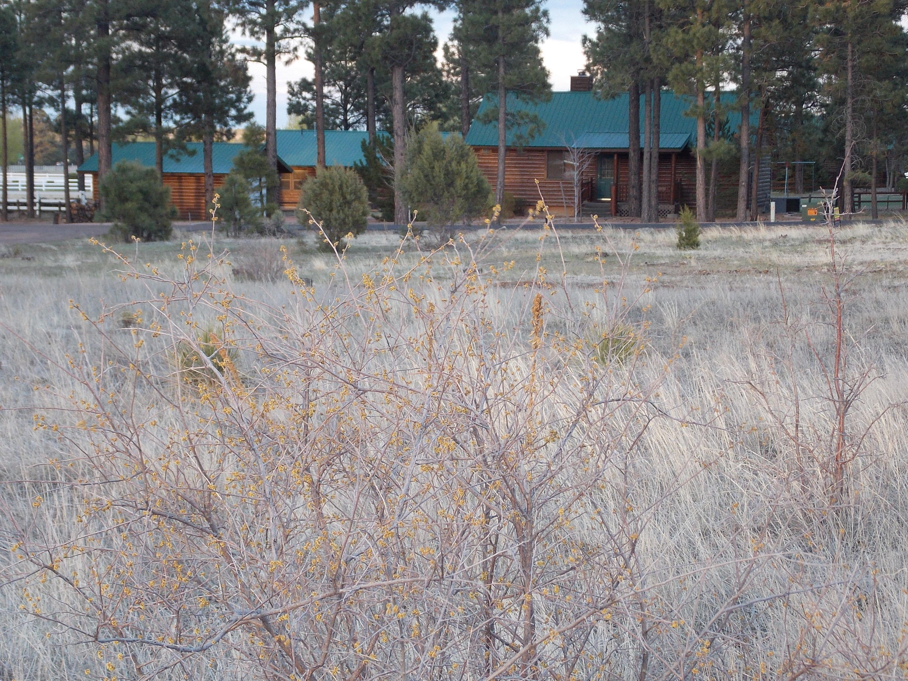 Tbd Tbd Christine Way Overgaard, AZ 85933 - Photo 2 of 7