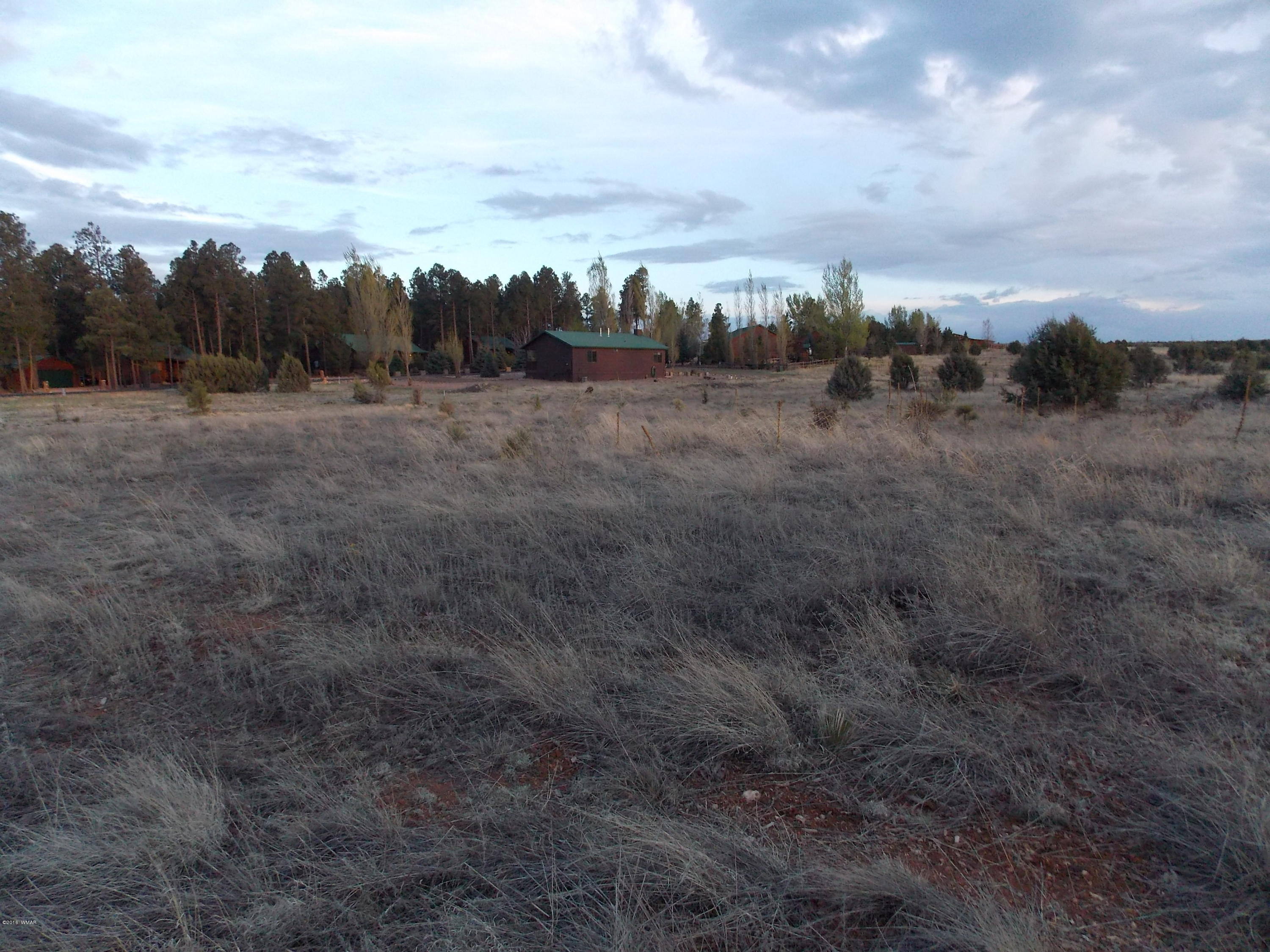 Tbd Tbd Christine Way Overgaard, AZ 85933 - Photo 3 of 7