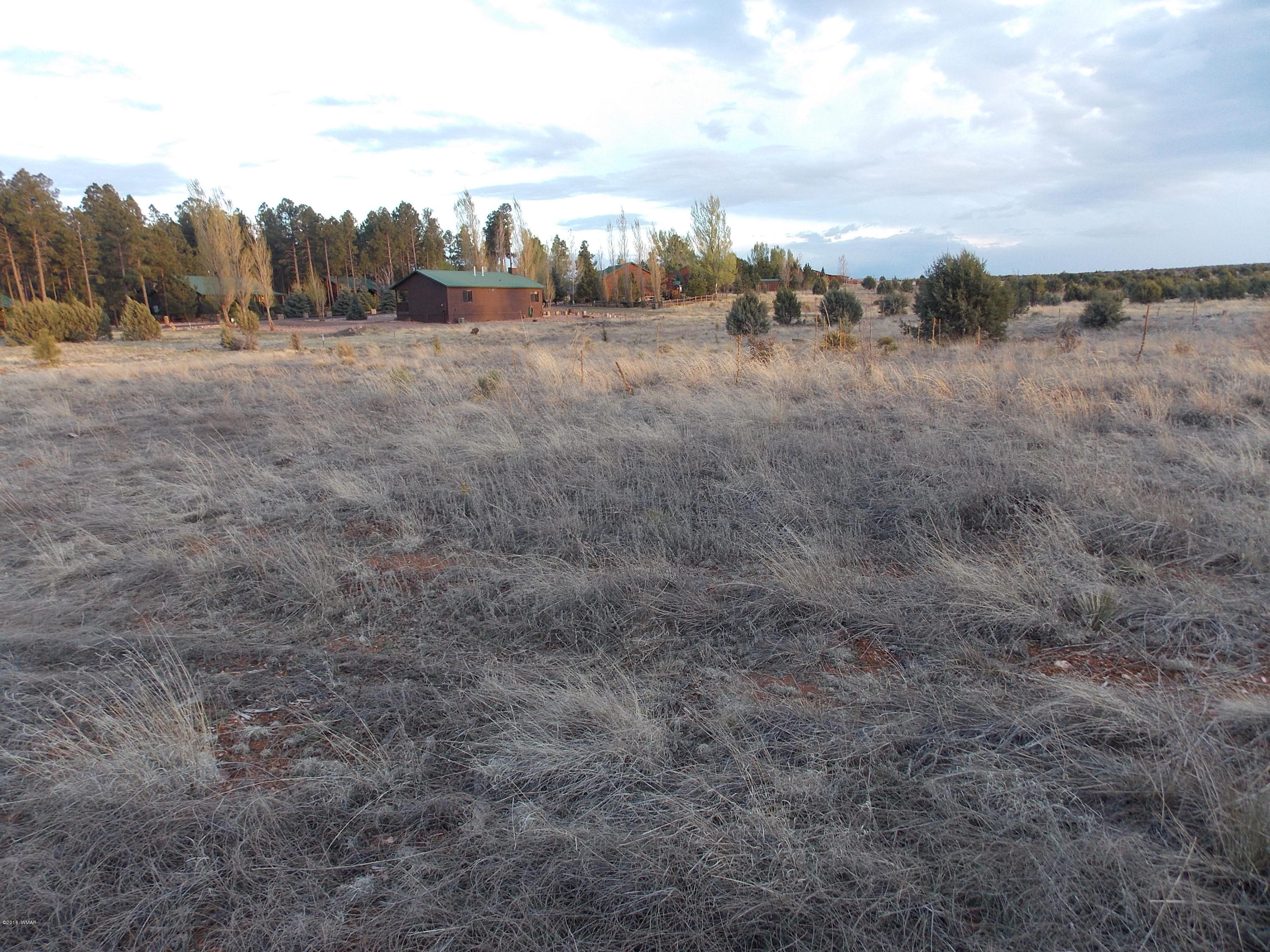 Tbd Tbd Christine Way Overgaard, AZ 85933 - Photo 5 of 7
