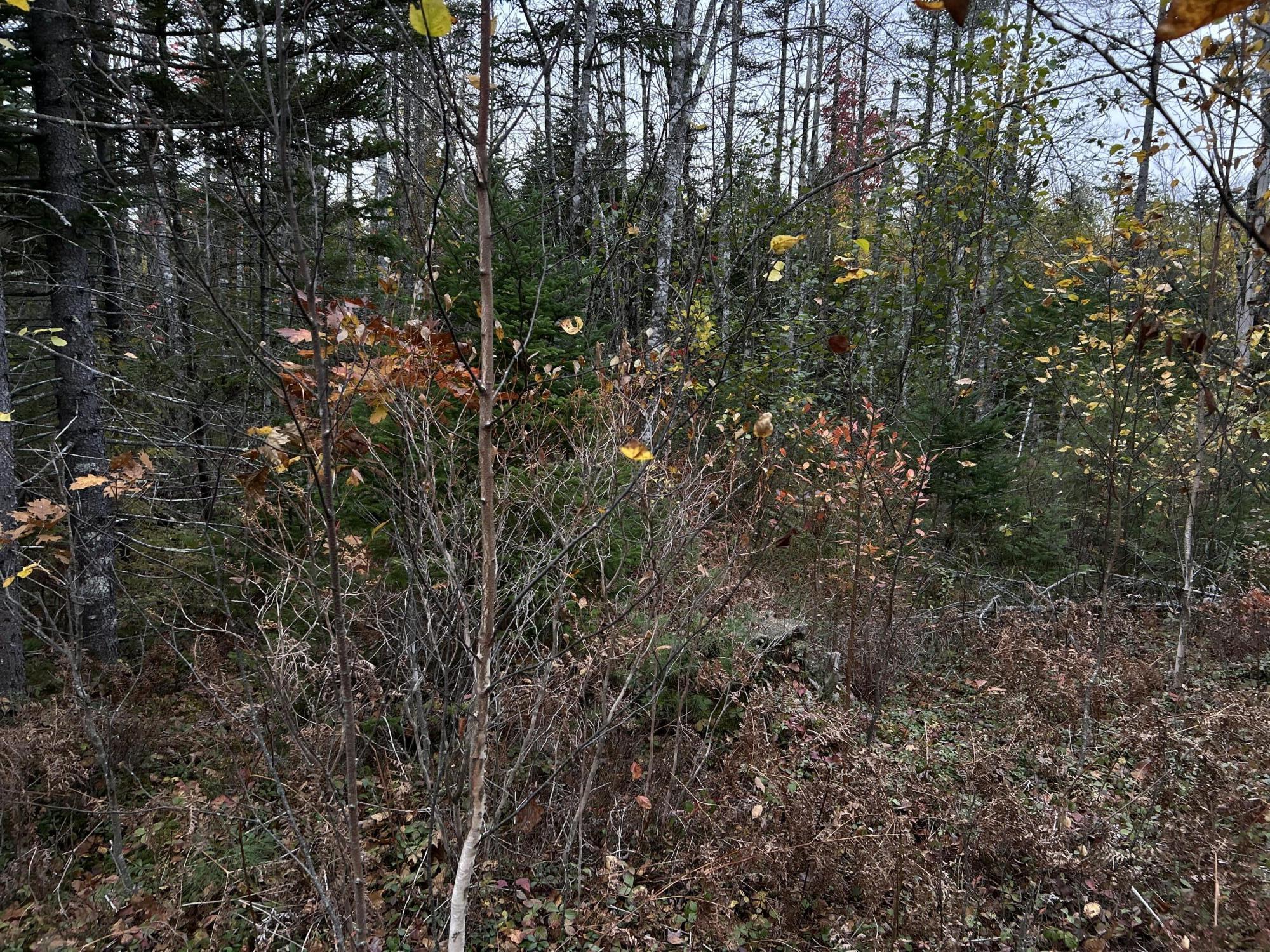 401 Genthner Road Waldoboro, ME 04572 - Photo 27 of 35